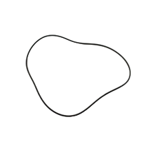 Joint torique carter allumage SXR 800 WSM